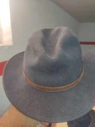 Sombrero Gold lion marron