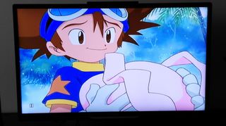 Pack serie Digimon dvd
