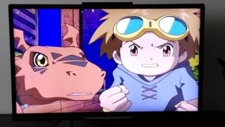 Pack serie Digimon dvd