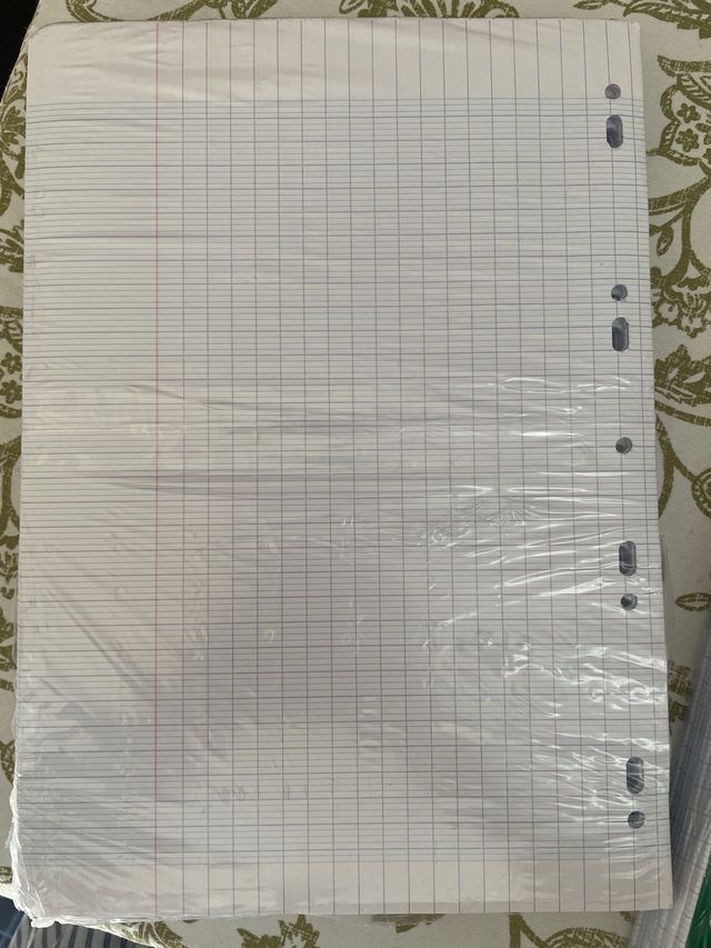 grand carreaux seyes  Oxford 500 hojas simples per