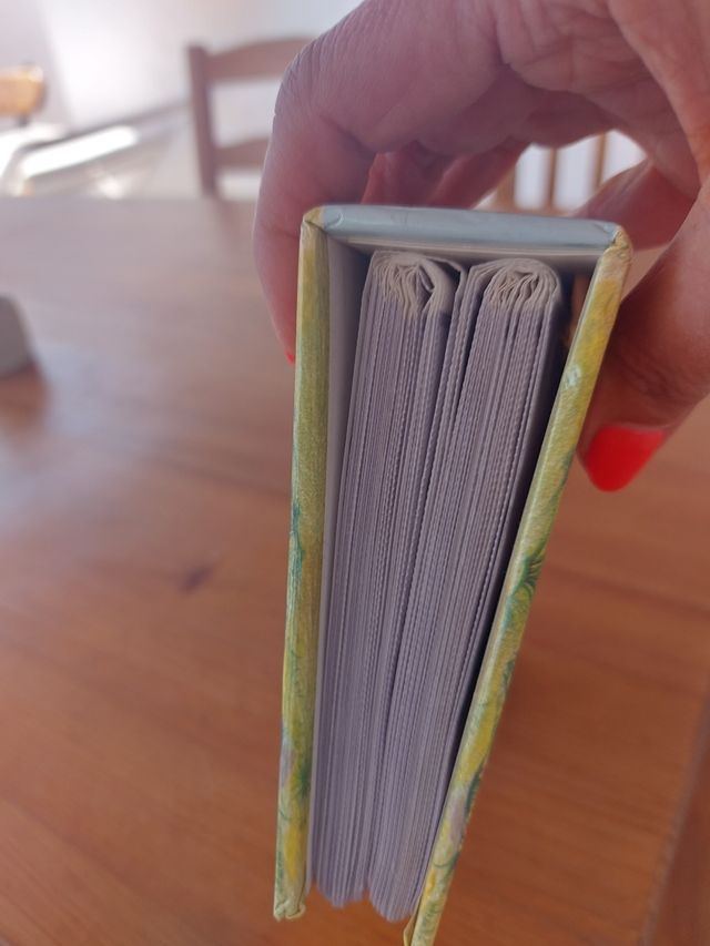 Álbum Fotos A6 - 100 Fotos