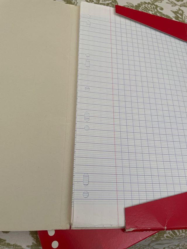 feuilles simples hojas simples Oxford - 200