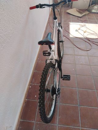 Bicicleta FreeRider 24" Niño