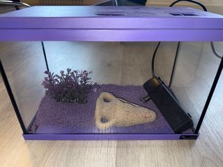 Acuario pequeño morado - 35x18x24cm