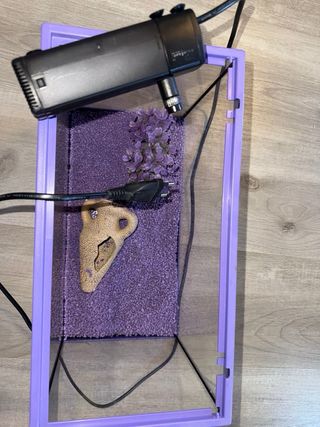 Acuario pequeño morado - 35x18x24cm
