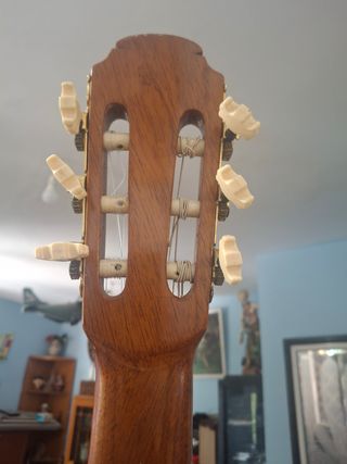 Guitarra gaja  falcon