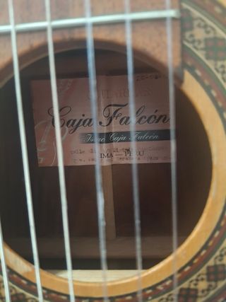 Guitarra gaja  falcon