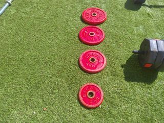 Discos peso Salter - 10-5-4-2Kg