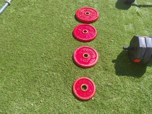 Discos peso Salter - 10-5-4-2Kg