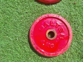 Discos peso Salter - 10-5-4-2Kg