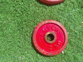 Discos peso Salter - 10-5-4-2Kg