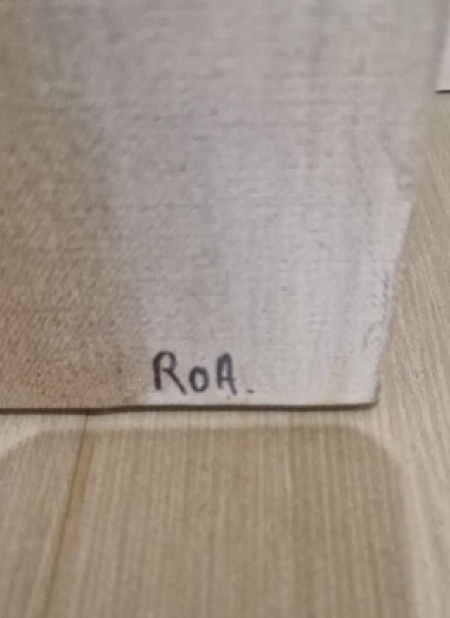 2 pinturas acrílico sobre lino. Artista "ROA"