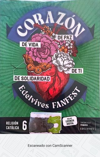 Proyecto: FanFest. Religión católica 6
