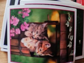 Stickers Precious Kitties - 1999