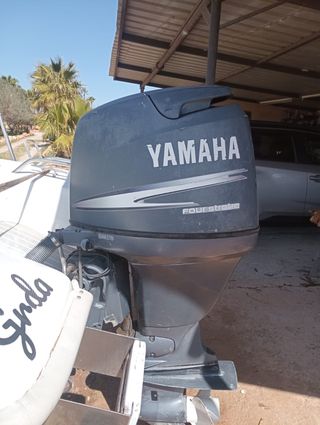 Barco recreo - Motor fueraborda