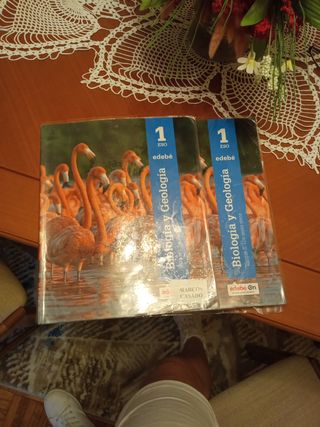 BIOLOGÍA Y GEOLOGÍA 1