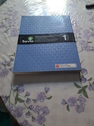 Lengua castellana y literatura. 1 Bachillerato....