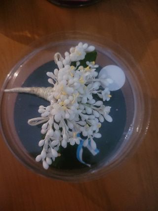 Azahar belleza  o dama infantil