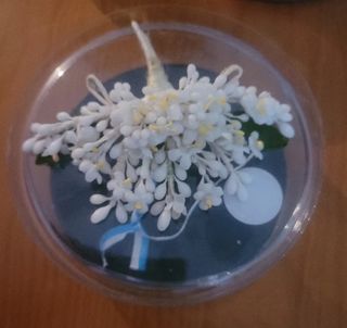 Azahar belleza  o dama infantil