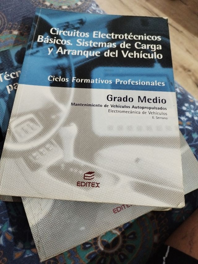 Circuitos Electrotécnicos Básicos Sistemas de Carg