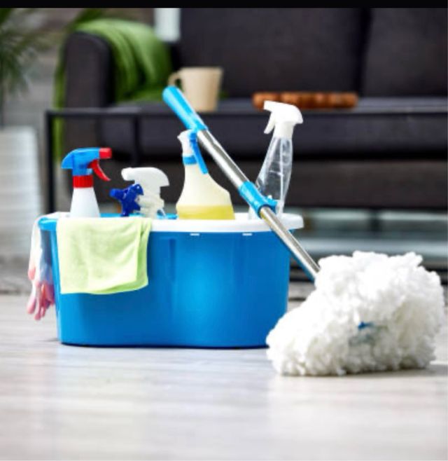 Servicios de limpieza y cuidado de mascota