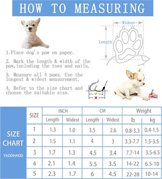 Zapatos Perros Invierno - Antideslizantes