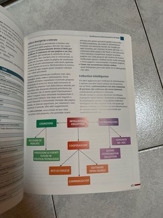 Libro Consapevoli in Rete