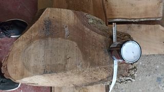 Madera nogal: Tablas & tronco