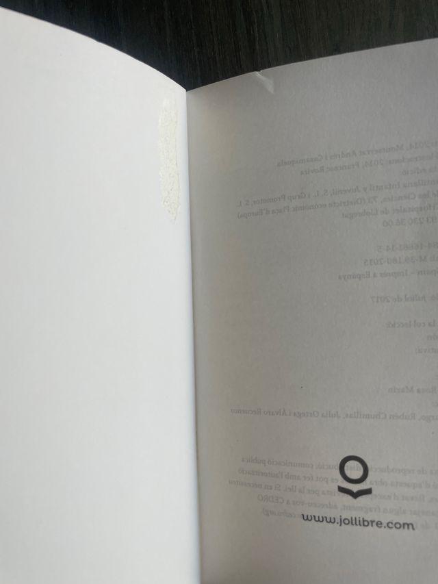 El timbaler del Bruc