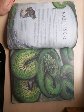 Animales fantásticos y dónde encontrarlos