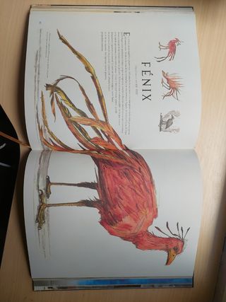 Animales fantásticos y dónde encontrarlos