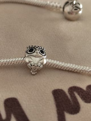 Charm búho
