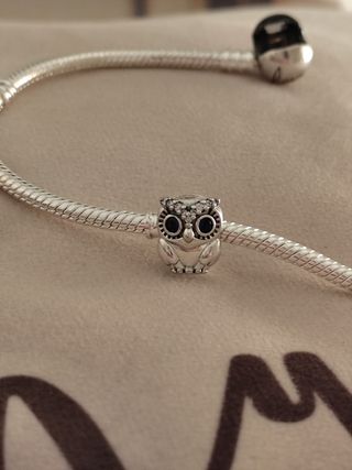 Charm búho