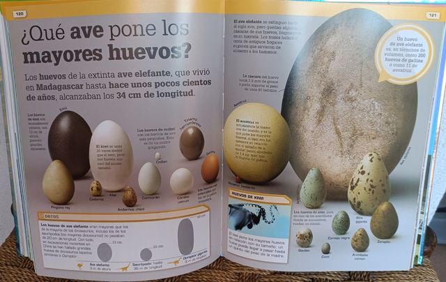 ¡Increíble pero cierto!: Comparaciones visuales...