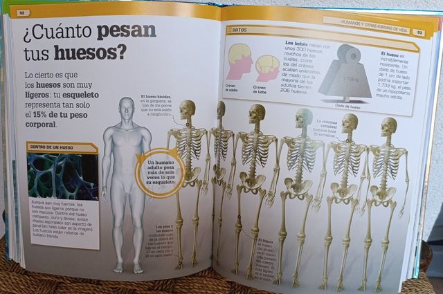 ¡Increíble pero cierto!: Comparaciones visuales...