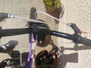 Bicicleta niña 14" Royal Baby