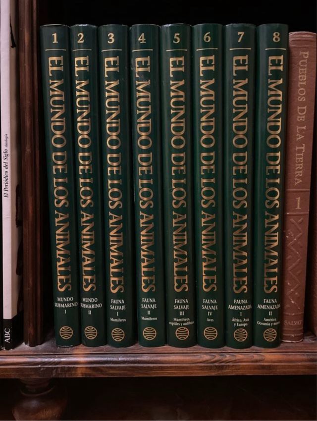 El mundo de los animales