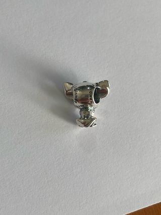 Charm El Rey León