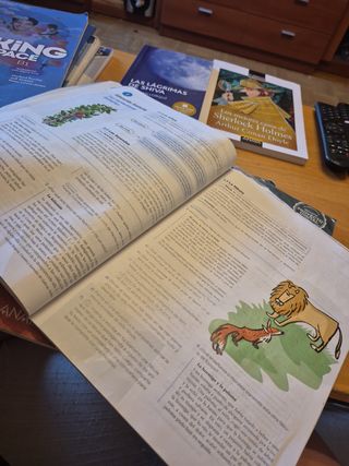 Lengua y literatura 