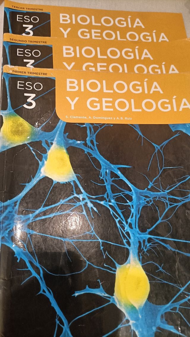 Ingles,matematicas, historia, lengua,fisiquim,biol