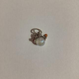 Charm Chip Chop 