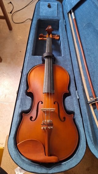 Violín clásico, con estuche