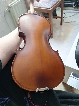 Violín clásico, con estuche