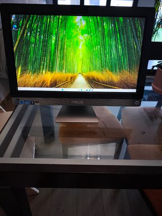 Ordenador Asus All in One PC
