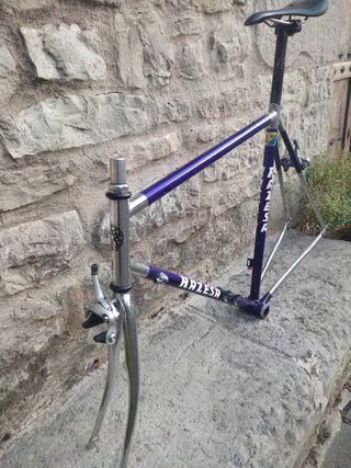 Cuadro Razesa acero vintage