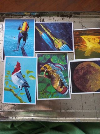 6 Cromos antiguos espaciales y naturaleza años 60