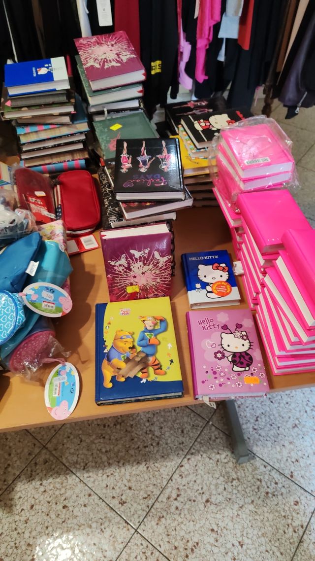 Lot of 15 School Diaries – Perfect for Resale