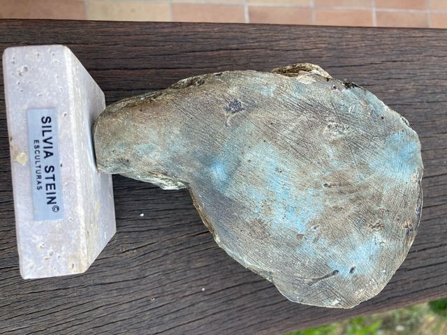 Oscar de Silvia Stein