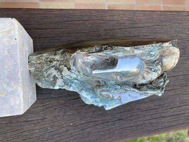 Oscar de Silvia Stein