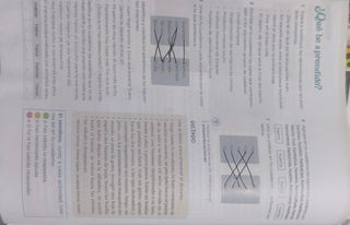 Libros 5 Primaria Lengua